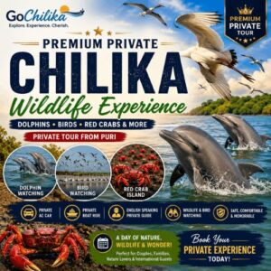 Exclusive Chilika Sanctuary Experience (Private Boat & English Naturalist)